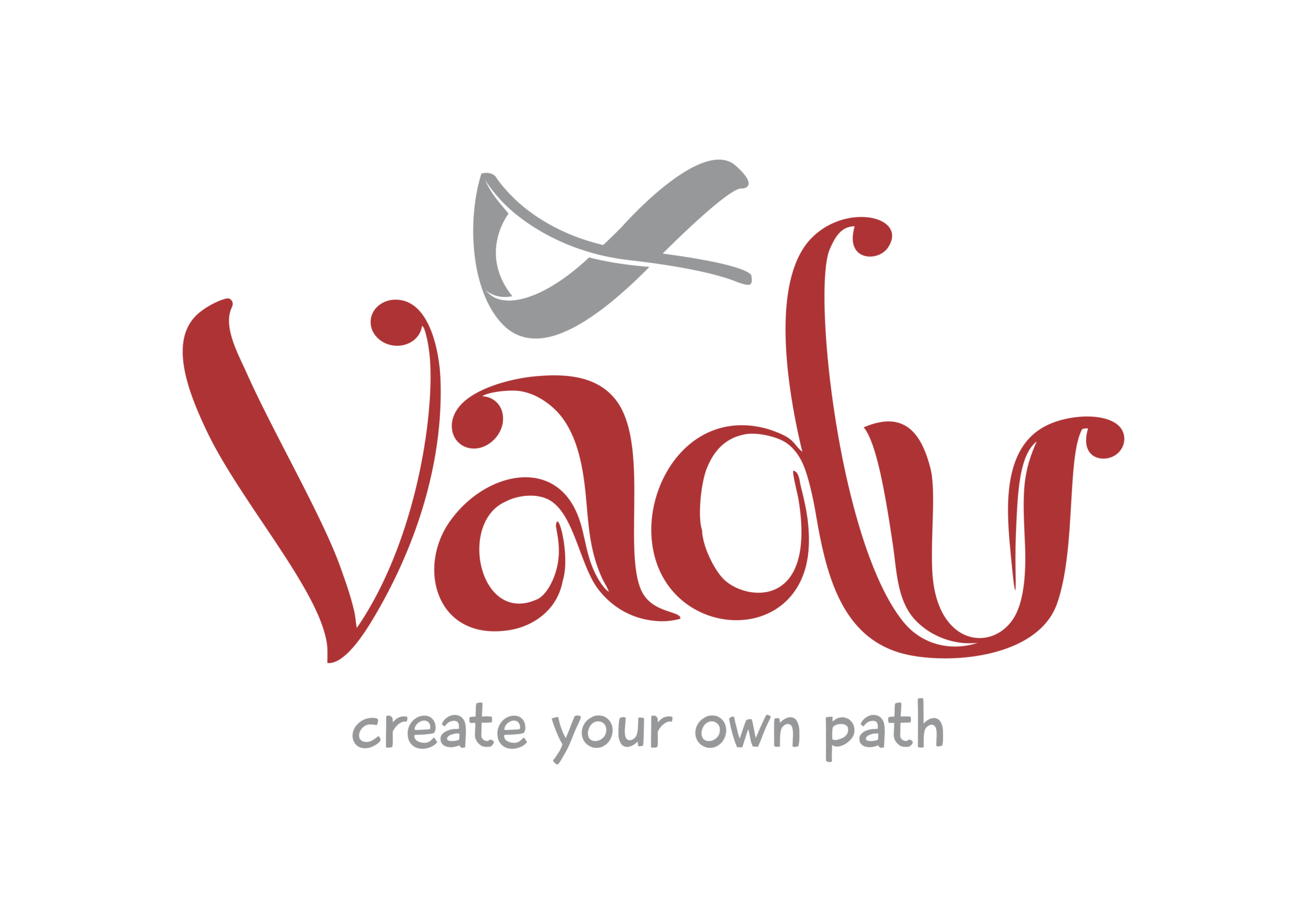 Vadu Inc